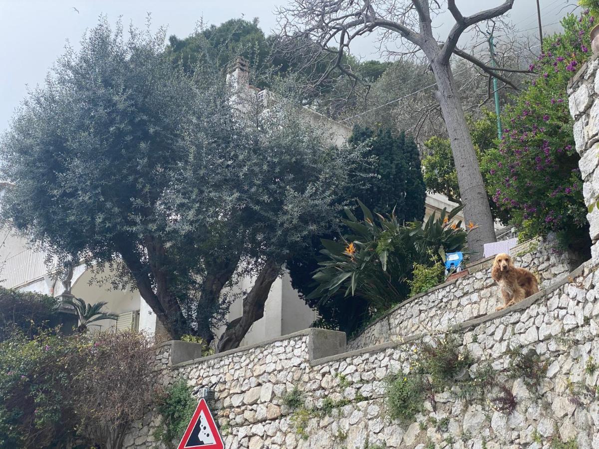Regina Di Capri - Suite Vista Faraglioni Exteriér fotografie